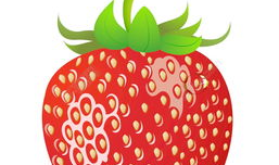 草莓视频素材,探寻甜蜜背后的故事